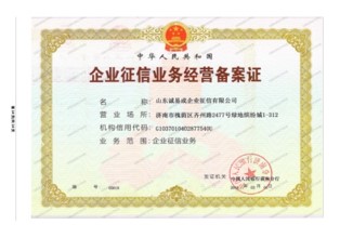 Company Certificate 2